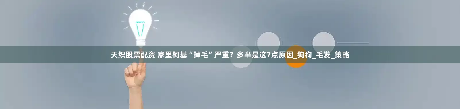 天织股票配资 家里柯基“掉毛”严重？多半是这7点原因_狗狗_毛发_策略