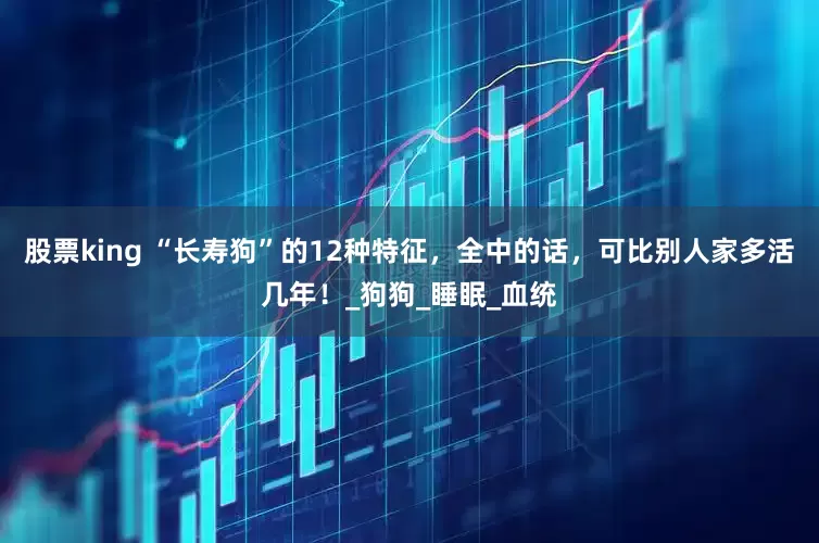 股票king “长寿狗”的12种特征，全中的话，可比别人家多活几年！_狗狗_睡眠_血统