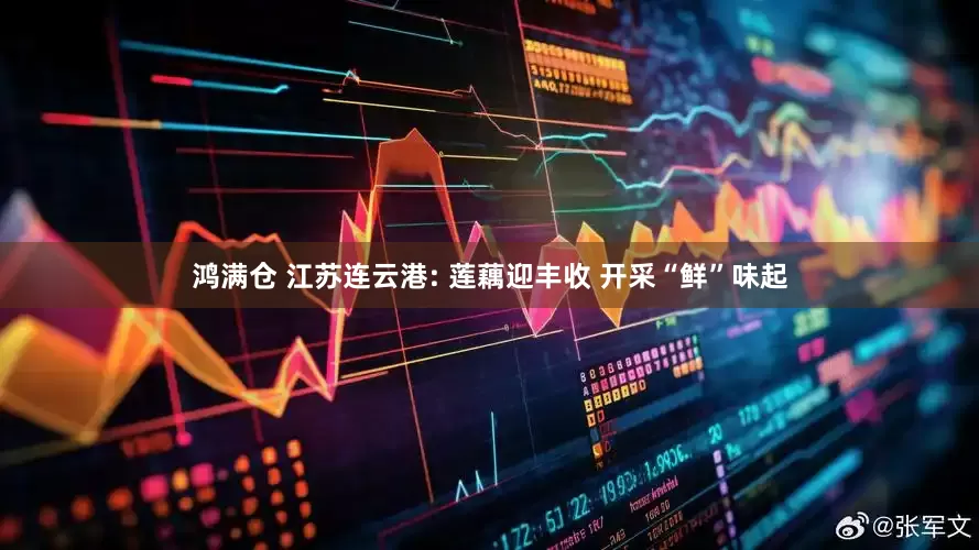 鸿满仓 江苏连云港: 莲藕迎丰收 开采“鲜”味起